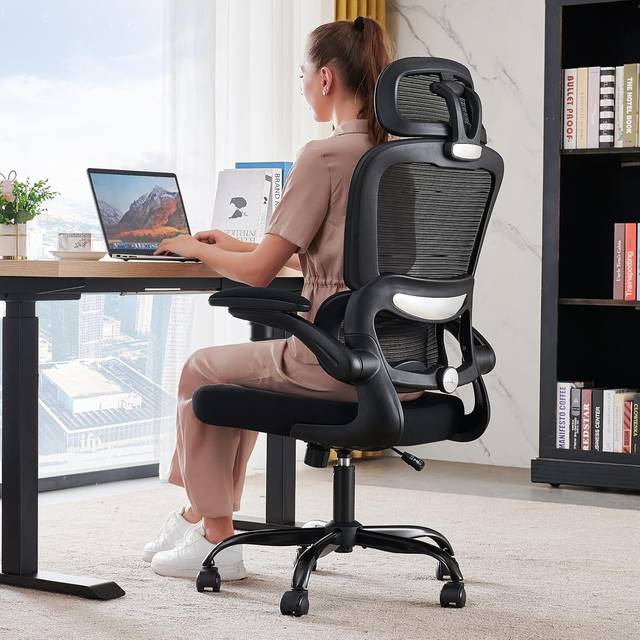 TRALT Office Chair Ergonomic Desk Chair (B0CG6V2XGS), Best Value for Smaller Frames