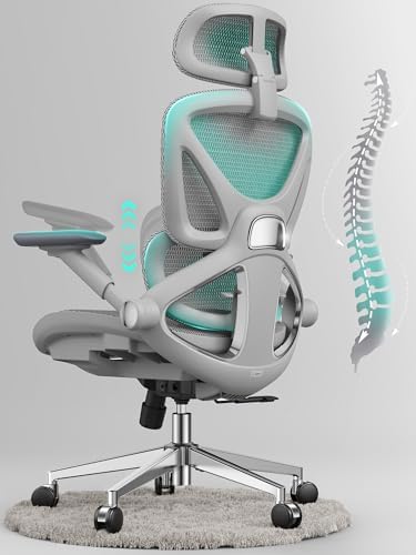Ergonomic Mesh Office Chair