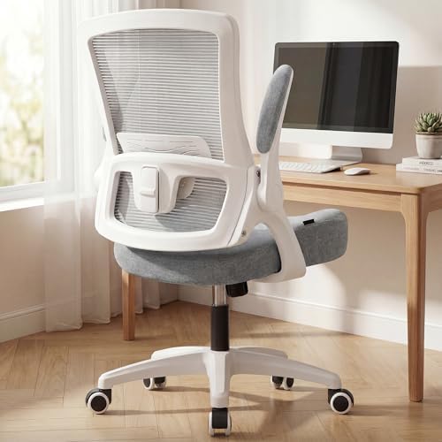 NEO CHAIR Office Desk Chair High Back Mesh Chair Adjustable Lumbar, Black