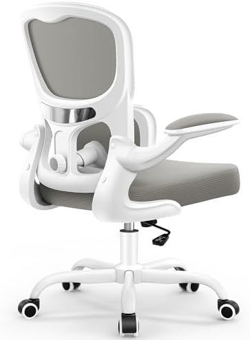 ALLGOD Ergonomic Office Chair, Breathable Mesh Ergonomic Desk Chair with Adjustable Lumbar Support, Flip-up Armrests, Computer Chairs Comfortable for Home, Office, Work, 300lbs, Black, Upgrade
