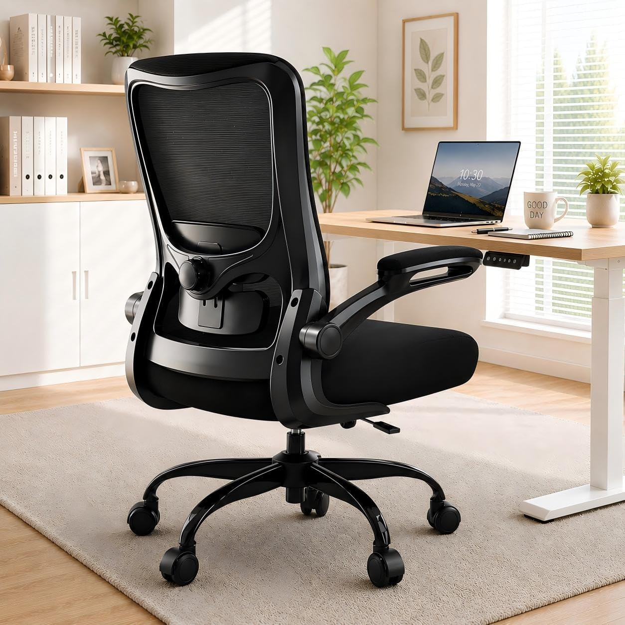 Ergonomic Office Chair